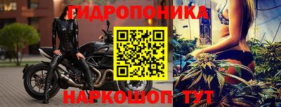 прущие грибы Кимры